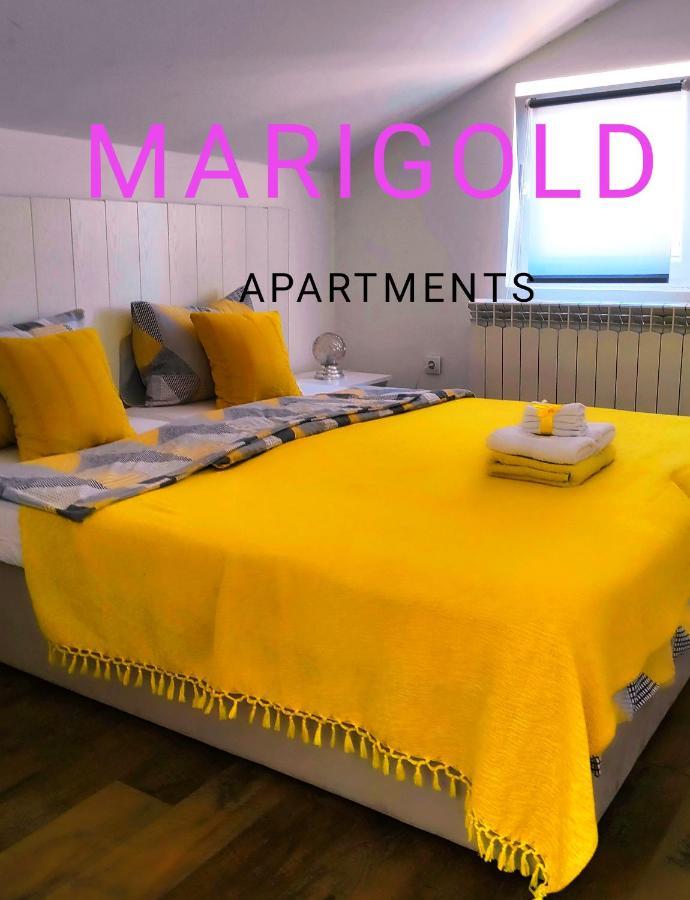 Oldtown Apartments - Marigold Group Novi Sad Ngoại thất bức ảnh