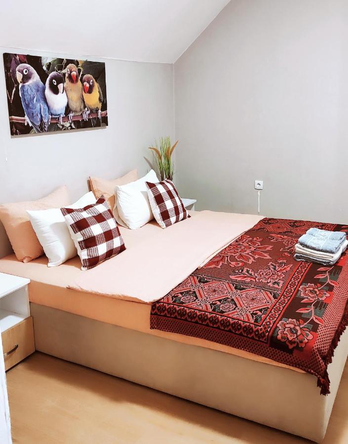 Oldtown Apartments - Marigold Group Novi Sad Ngoại thất bức ảnh